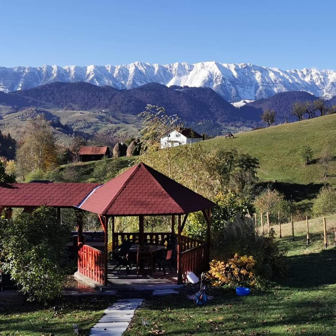 Nona Highland Home Moieciu de Jos Εξωτερικό φωτογραφία