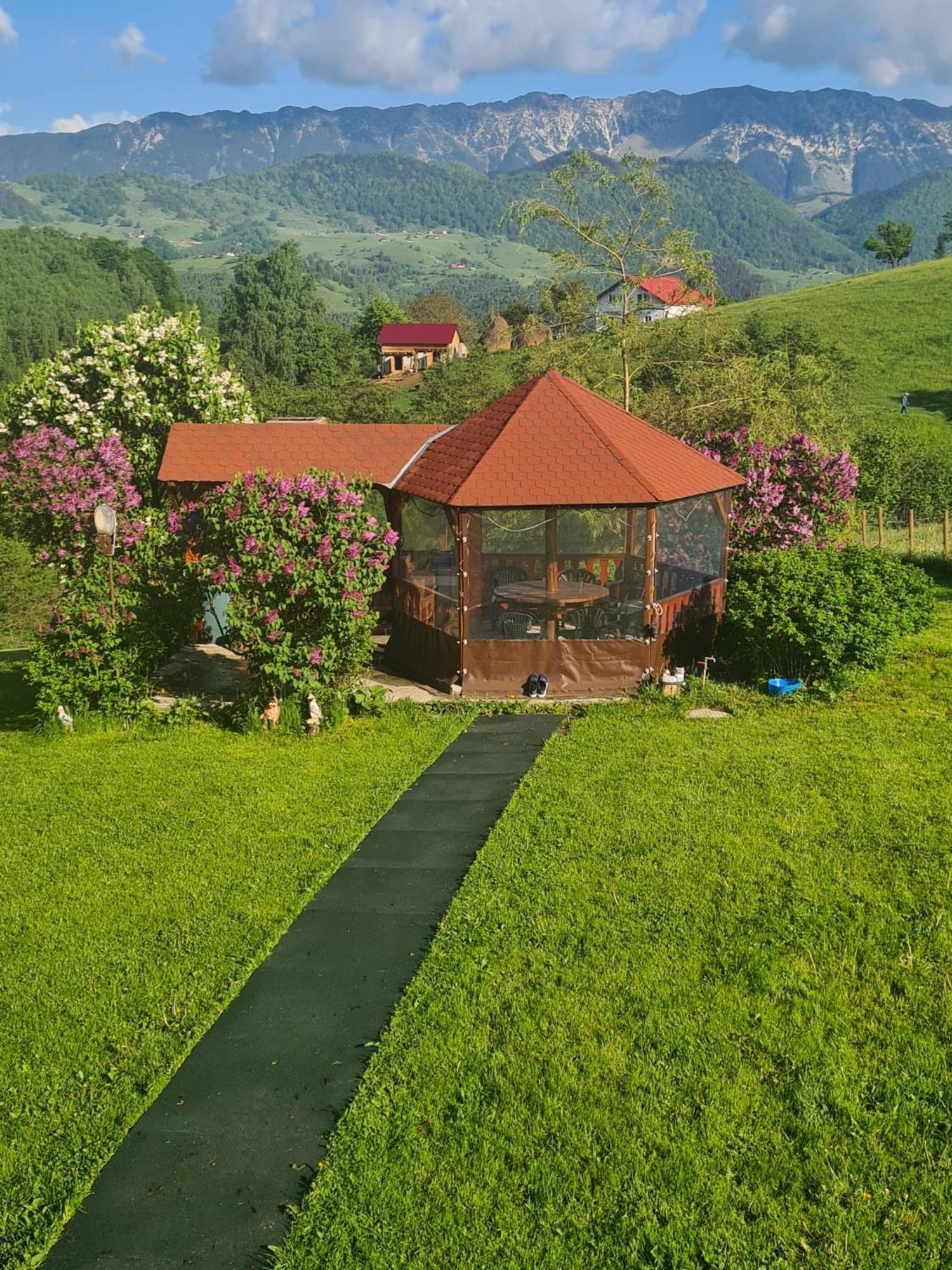 Nona Highland Home Moieciu de Jos Εξωτερικό φωτογραφία