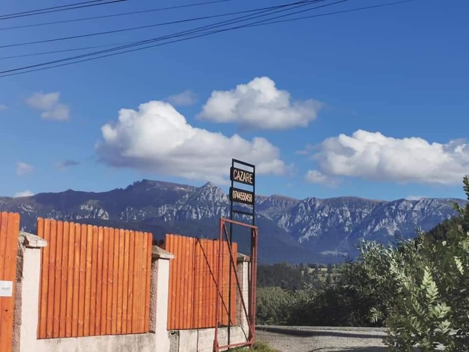 Nona Highland Home Moieciu de Jos Εξωτερικό φωτογραφία