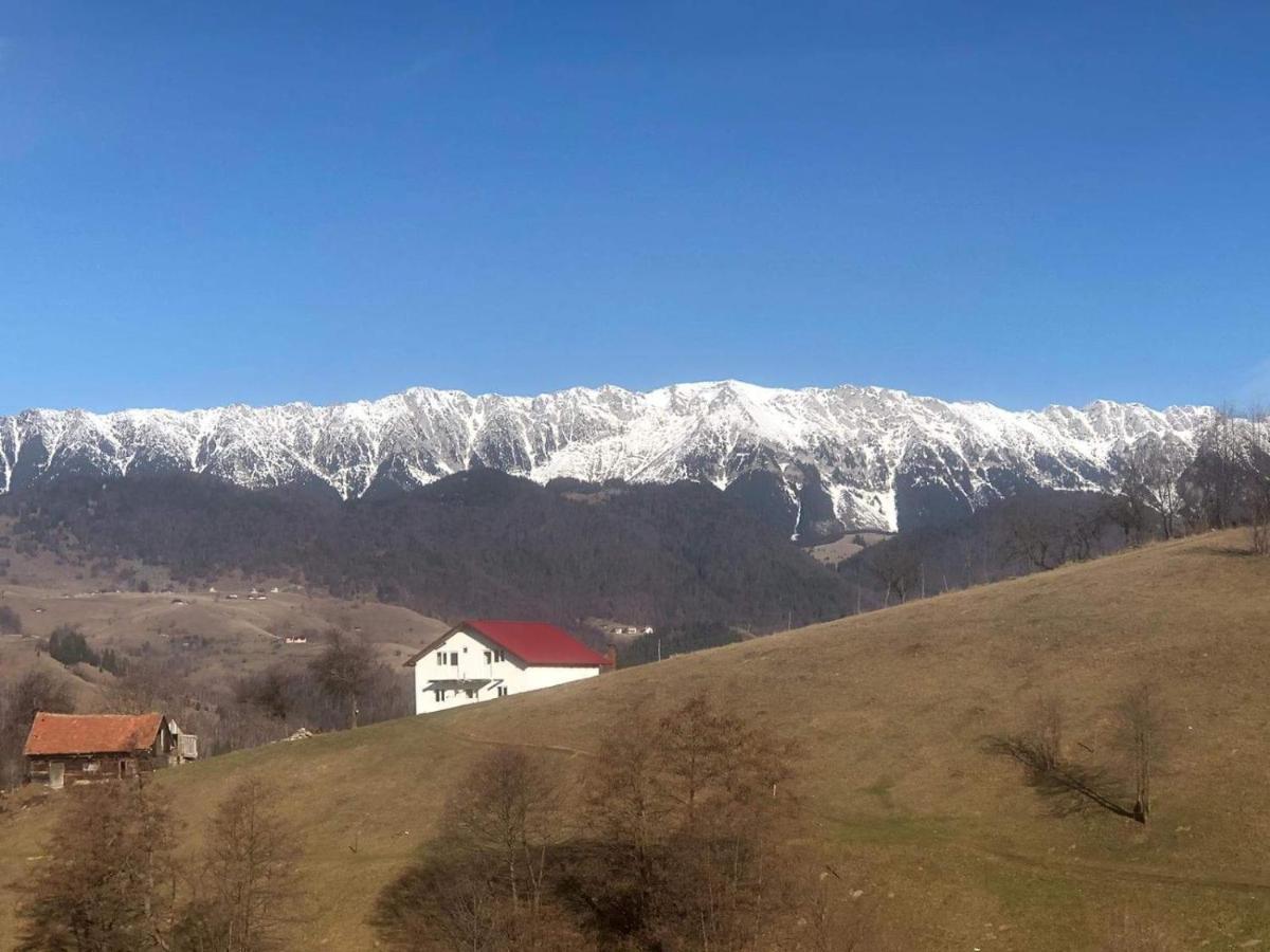 Nona Highland Home Moieciu de Jos Εξωτερικό φωτογραφία