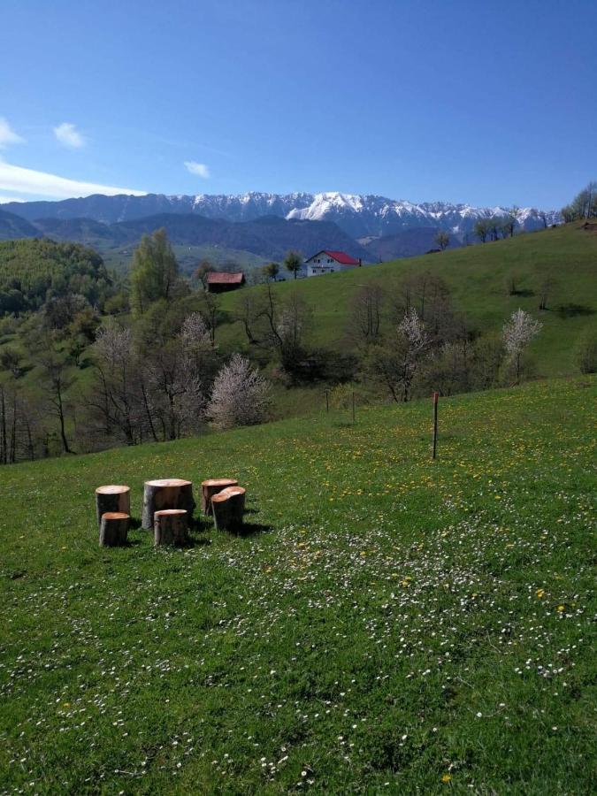 Nona Highland Home Moieciu de Jos Εξωτερικό φωτογραφία