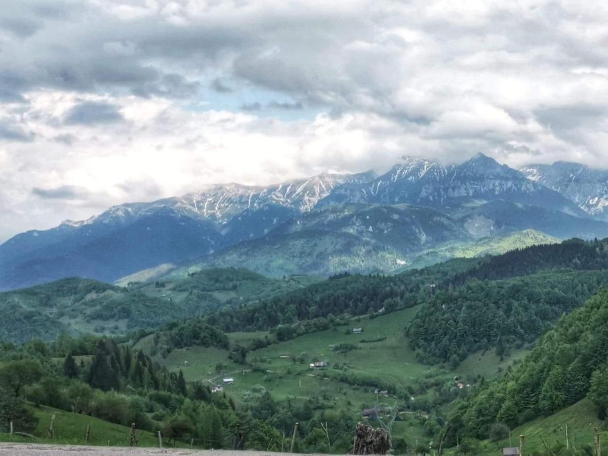 Nona Highland Home Moieciu de Jos Εξωτερικό φωτογραφία